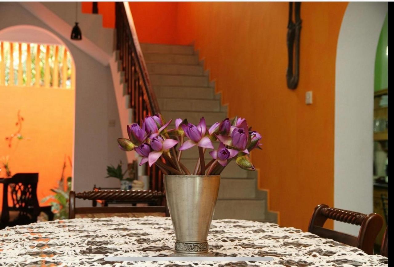 Breeze Of Paradise Nugegoda Extérieur photo